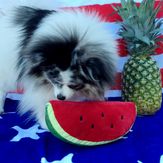 Minty and squeaky watermelon 4th of July on mintymondays.com #JOYFETTI #MintyMondays