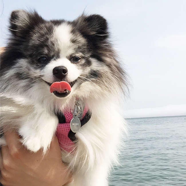 Minty enjoying Sausalito, California on mintymondays.com