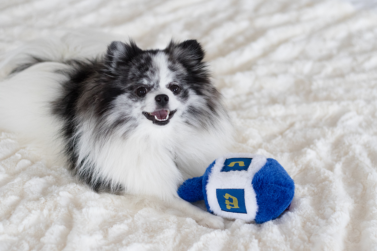 Minty Mondays - I have a little dreidel Hanukkah photoshoot on mintymondays.com_say cheese