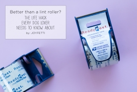 The Life Hack Every Dog Lover Needs to Know About | JOYFETTI