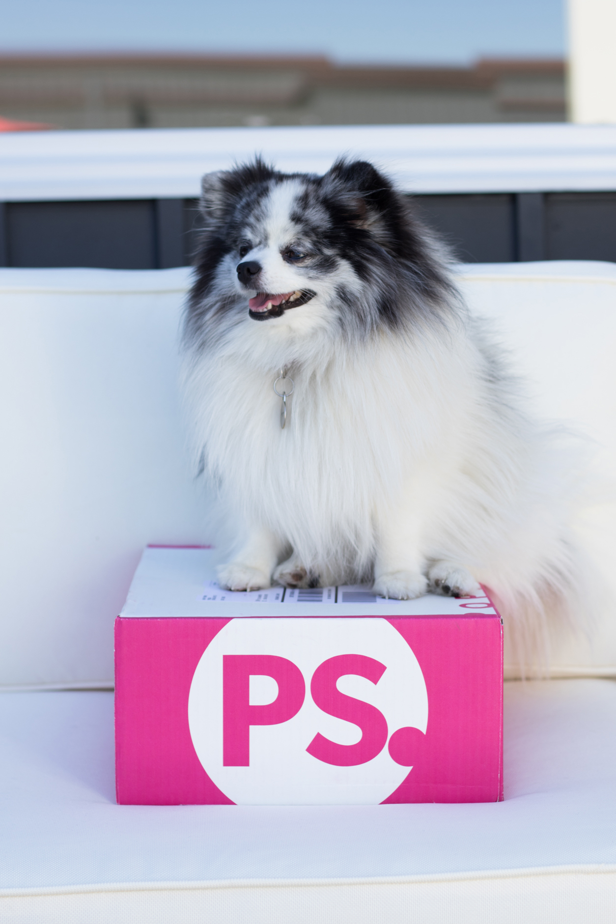 popsugar-must-have-box_september_minty-side